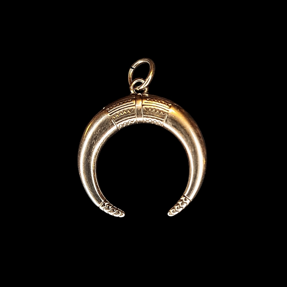 Stainless steel Bull horn pendant